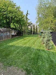 Need a relieable grass cutting employee