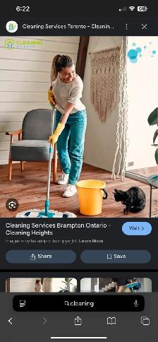 house cleaning ,