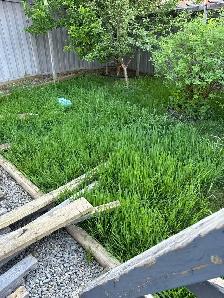 house hold help in laundry and gardening