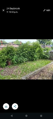 landscaping