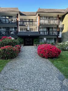 $2,222 / 787 sq/ft- 1 BEDROOM - GREAT LOCATION NORTH VANCOUVER