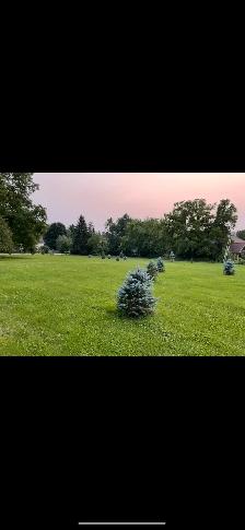 $160 Lawn Mowing Needed ASAP (bring lawn mower/ lawn tract