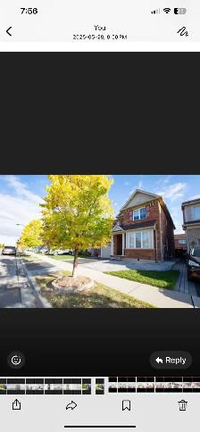 Brand New Legal Basement in Milton Two Bedrooms - Available Now