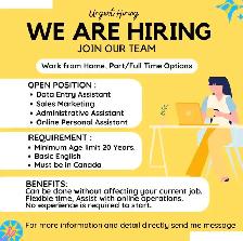Data Analyst