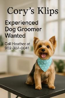 Seeking experienced dog groomer in Parksville BC.