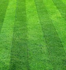 Lawn Care Maintenance