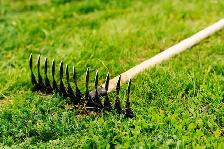 Landscaping / General Help Needed By Chinook - $20HR