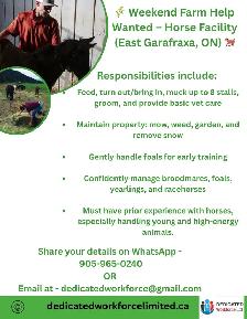 weekend Farm Help wanted- Horse facility