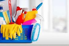 Guaranteed clean, Unbeatable prices: Only $20/Hr!