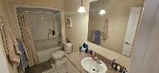 cleaning/ cleaner needed Saturday June 14