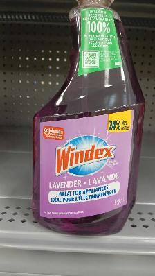 cleaning ladies