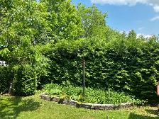 gardening girl needed