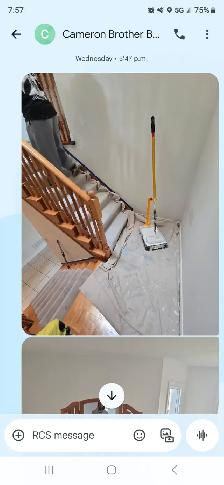 Skilled Painter