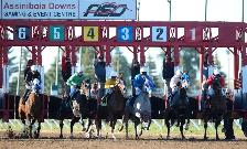 looking for stall cleaner at assiniboia downs