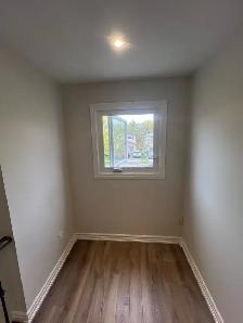 Painters