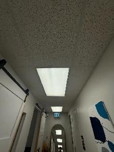 GE Proline dropped Ceiling fluorescent lights.