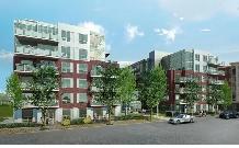 Executive 1 Bdrm For Rent in Sobow Inglewood