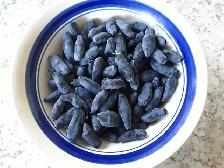 Berry Pickers Needed!