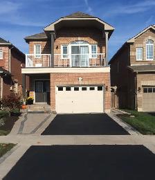 1 Bed, Plus Den Basement Apartment / Georgetown / All Inclusive
