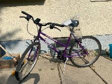 Giant Acapulco mountain bike 26