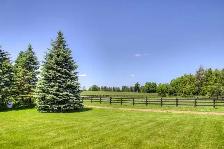 Grass cutting