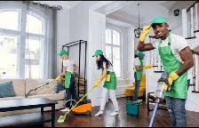 Richmond Hill Cleaning Helper Needed