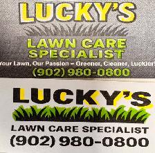 Lawn Care Services – Affordable & Reliable!