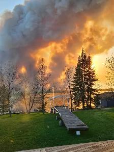Cabin rental wanted
