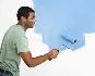 I AM looking for light duty cash jobs, painting,dishwasher ect