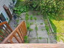 Need someone for light weeding