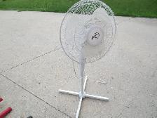 standing oscillating fan