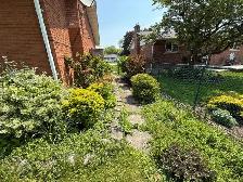 Do you need gardening and lawncare help?