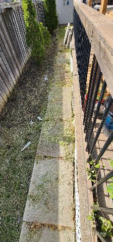 a laborer needed for 2 hours ($50 total) in North Ajax