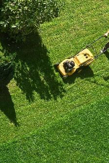 Lawn mowing