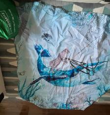 shower curtain