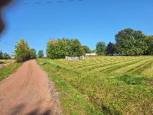 Cozy Country Bachelor Apartment for Rent