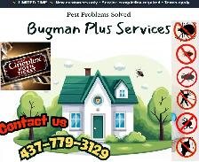 bedbugs control 4377793129