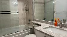 One Bedroom Basement Suite with Washer and Drier for Rent
