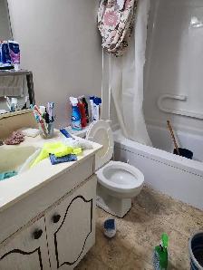 cleaning service