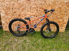 Ccm Trailblazer and Redline Lieutenant BMX
