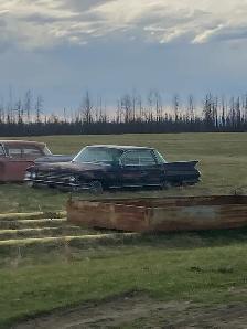 looking for any form of work within Edson