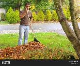 Im looking for odd summer jobs