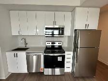 1 Bedroom brand new Condo Apartment available for rent asap.