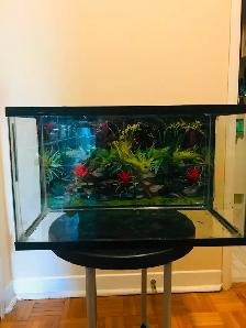 NEW LOWER FINAL CLEARANCE PRICE ON THIS 10 G FISH/TERRAIN TANK!