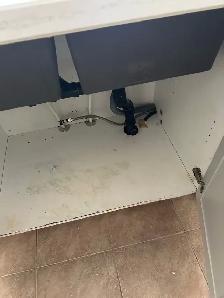 Need a plumber