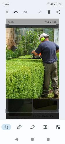 Looking for EXPERIENCE landscaper CASH PAID