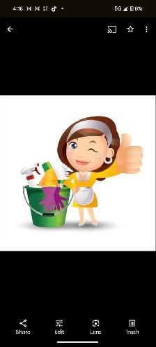 Cleaner Required