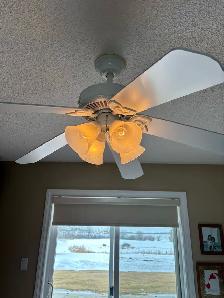 ceiling fans free