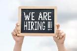 Website and Digital Marketing Specialist - Job Opening!