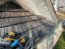 Looking for skilled labour work